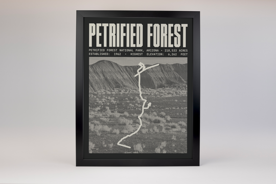 Petrified Forest National Park Poster
