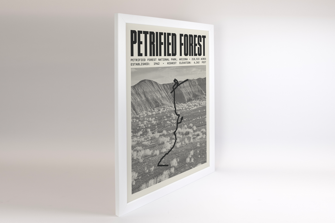 Petrified Forest National Park Poster