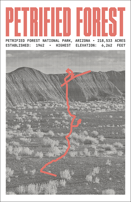 Petrified Forest National Park Poster