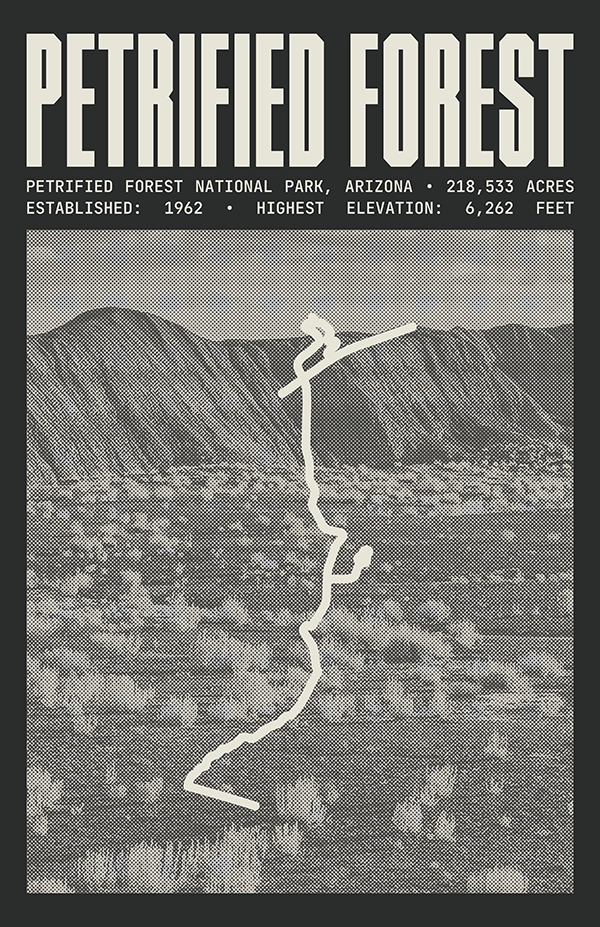 Petrified Forest National Park Poster