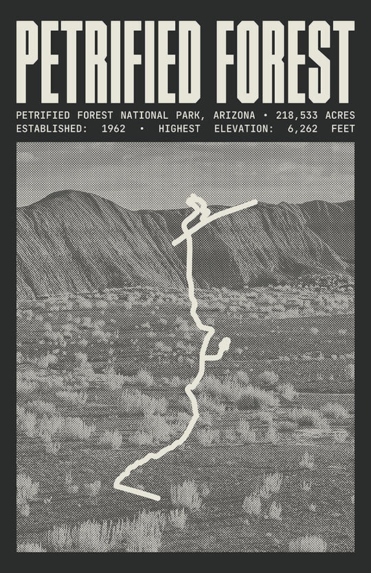 Petrified Forest National Park Poster