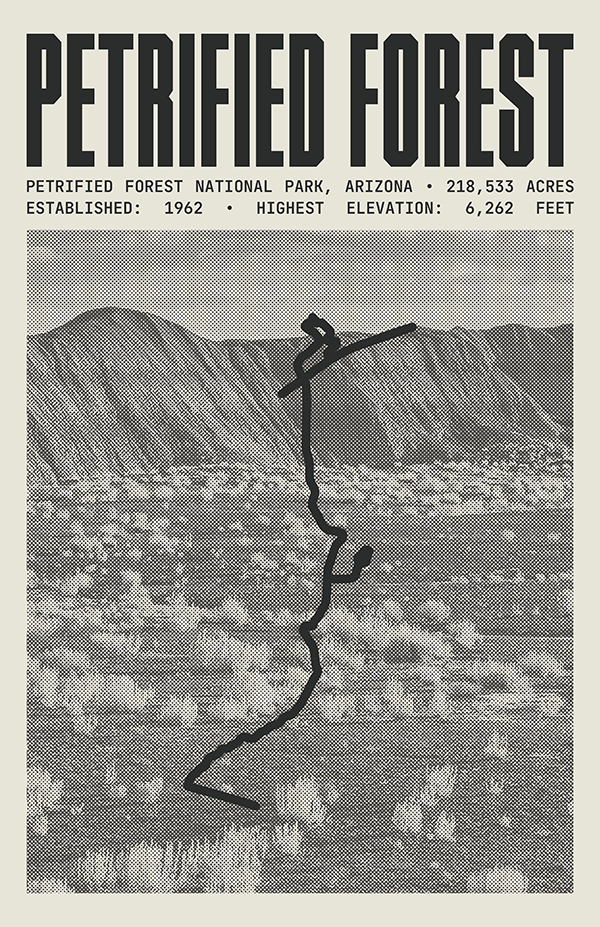 Petrified Forest National Park Poster