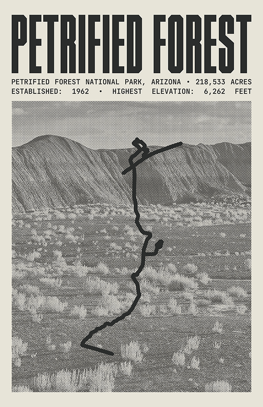 Petrified Forest National Park Poster
