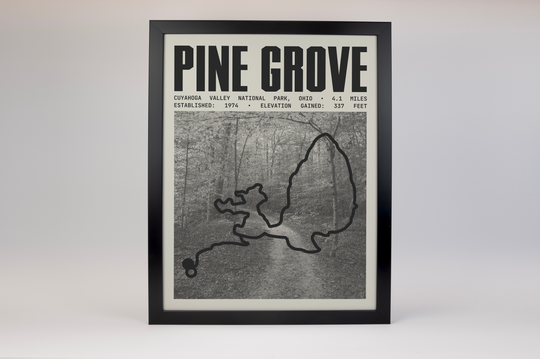 Pine Grove Trail Poster | Cuyahoga Valley National Park Prints