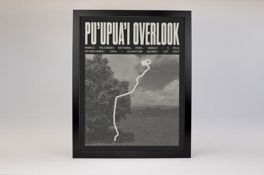 Puʻupuaʻi Overlook via Devastation Trail Poster | Hawaii Volcanoes National Park Prints