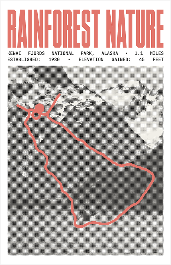 Rainforest Nature Walk Poster | Kenai Fjords National Park Prints