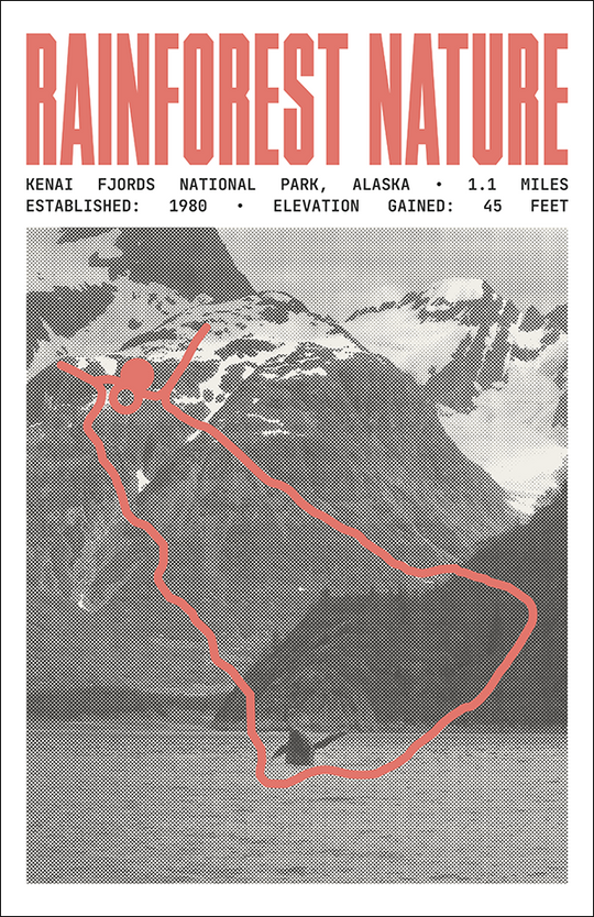 Rainforest Nature Walk Poster | Kenai Fjords National Park Prints