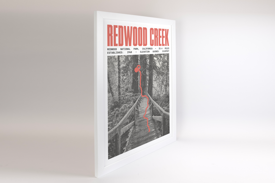 Redwood Creek Trail Poster | Redwood National Park Prints