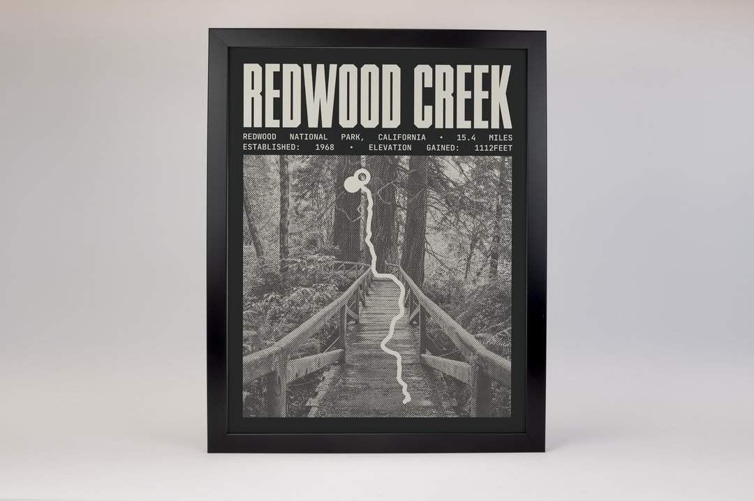 Redwood Creek Trail Poster | Redwood National Park Prints