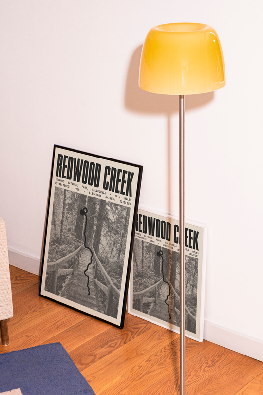 Redwood Creek Trail Poster | Redwood National Park Prints