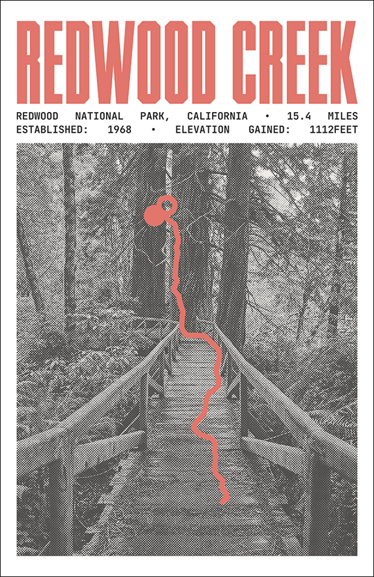 Redwood Creek Trail Poster | Redwood National Park Prints