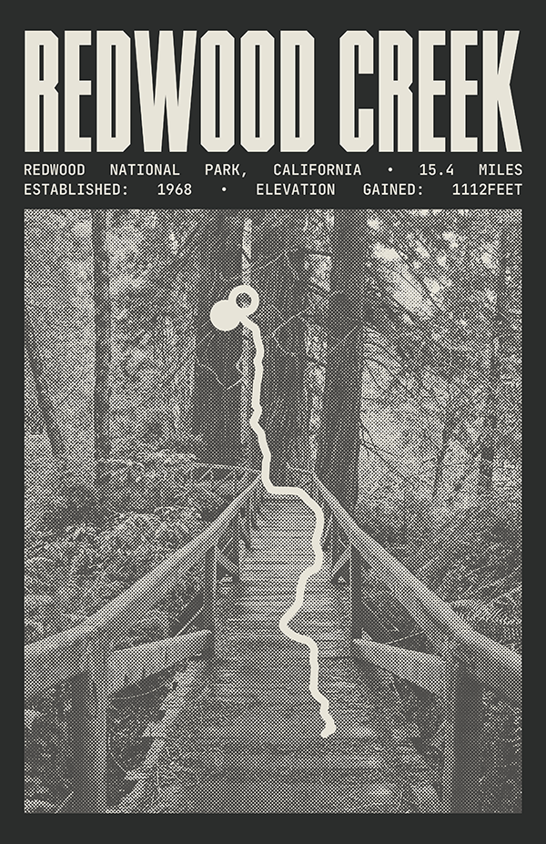 Redwood Creek Trail Poster | Redwood National Park Prints