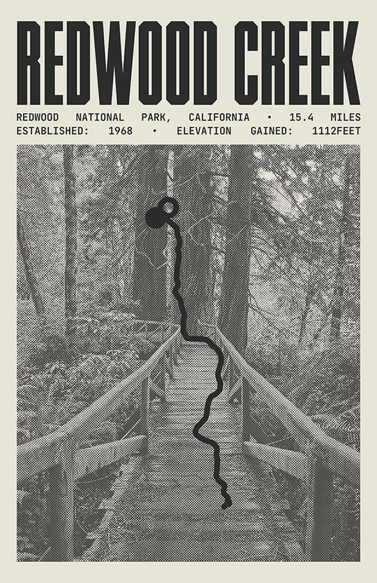 Redwood Creek Trail Poster | Redwood National Park Prints