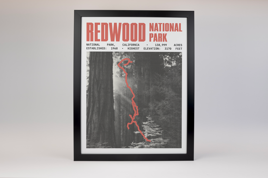 Redwood National Park Poster