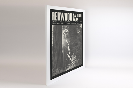 Redwood National Park Poster