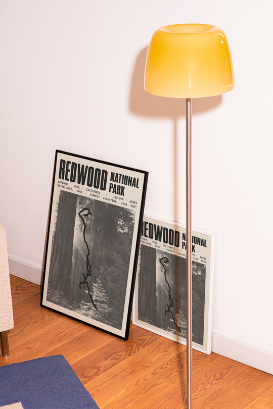 Redwood National Park Poster