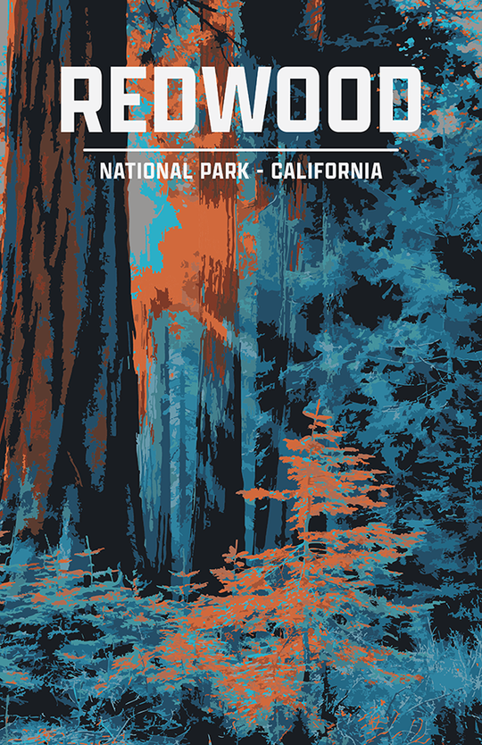 Redwood National Park Print | Vintage Style