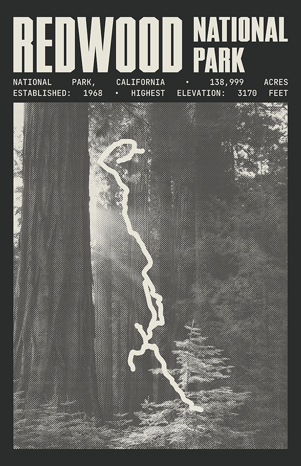 Redwood National Park Poster