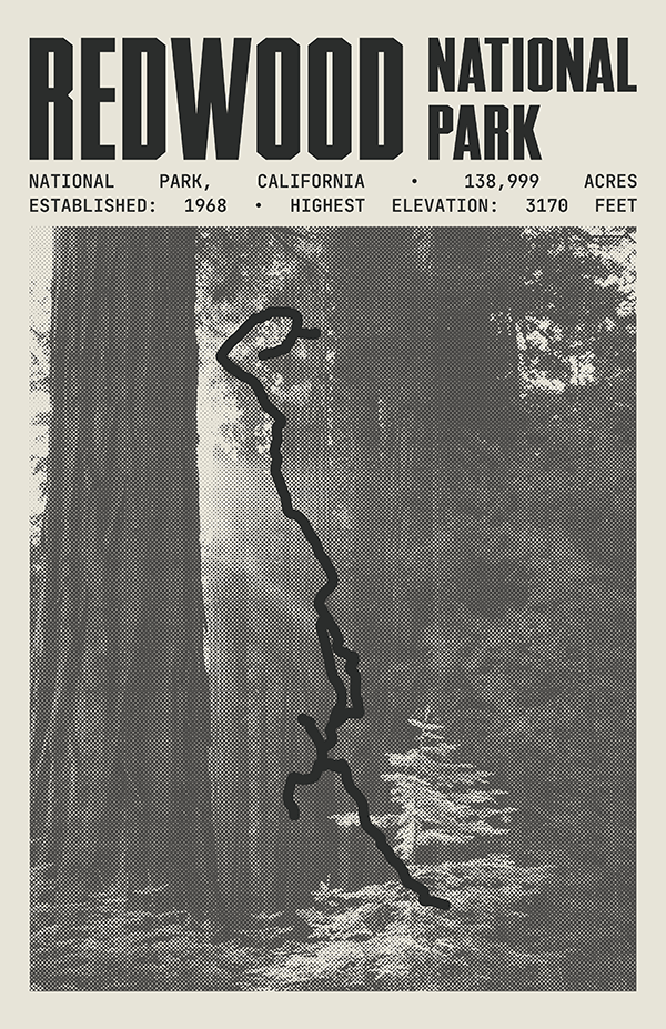 Redwood National Park Poster