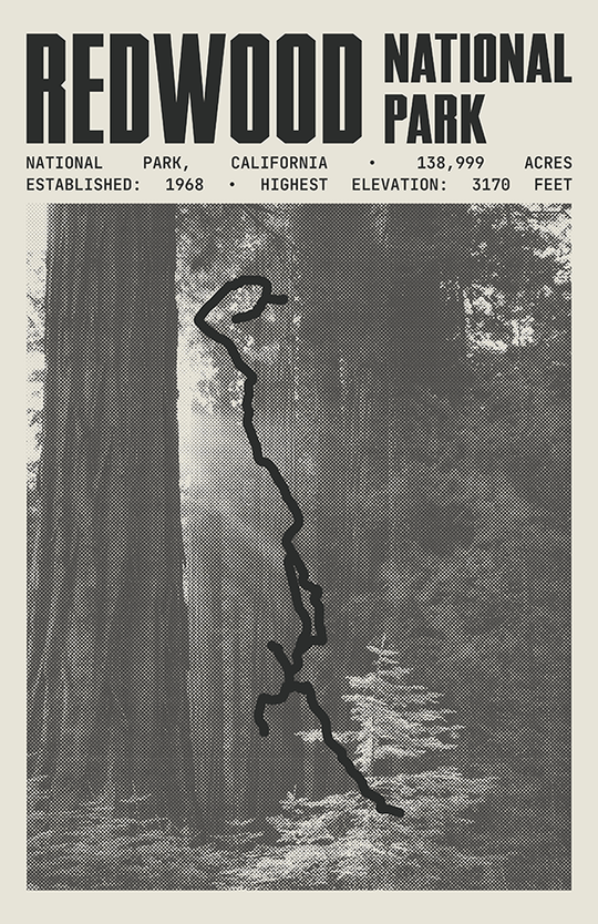 Redwood National Park Poster