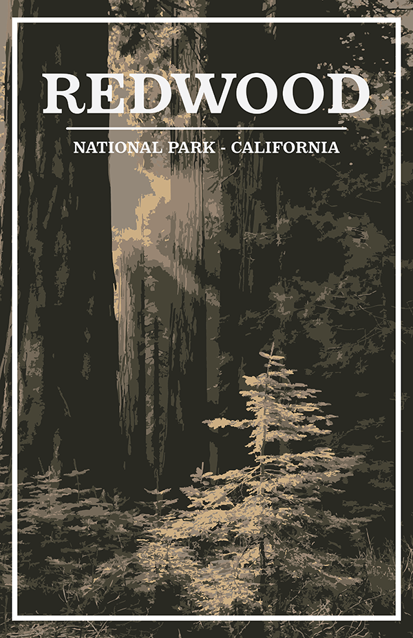 Redwood National Park Print | Vintage Style