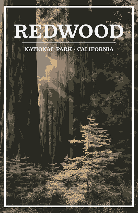Redwood National Park Print | Vintage Style