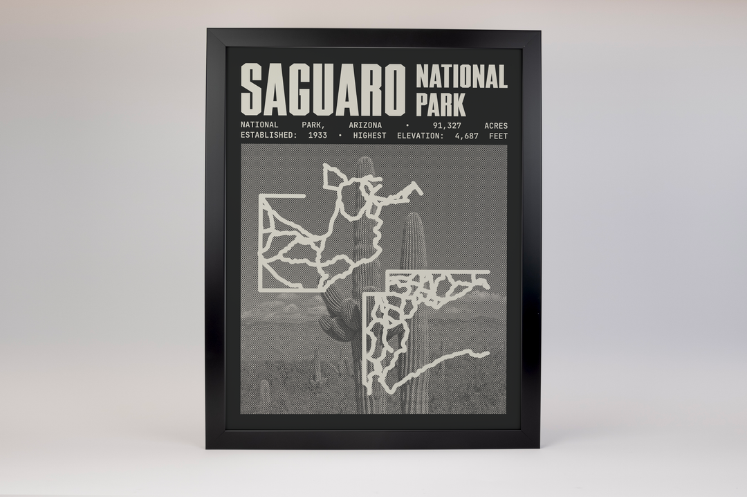 Saguaro National Park Poster