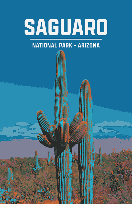 Saguaro National Park Print | Vintage Style