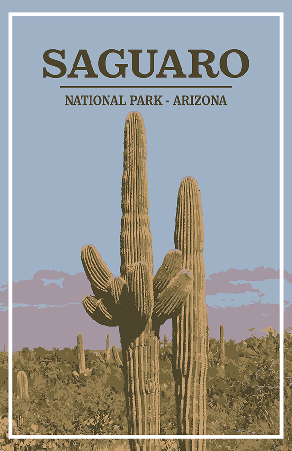 Saguaro National Park Print | Vintage Style