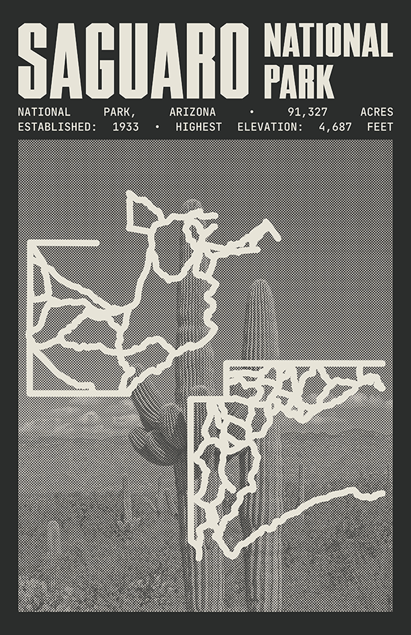 Saguaro National Park Poster