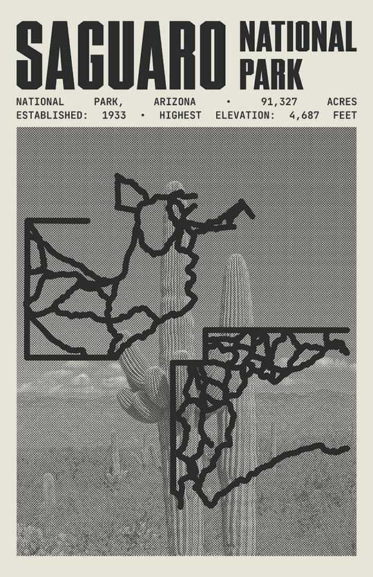 Saguaro National Park Poster