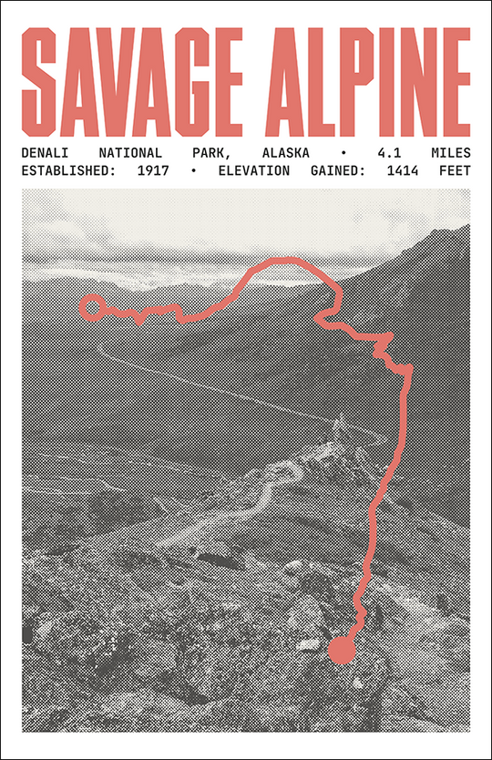 Savage Alpine Trail Poster | Denali National Park Prints