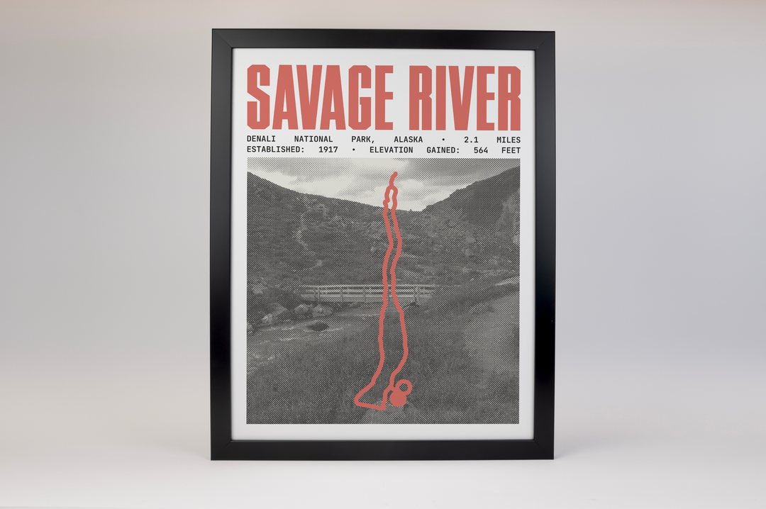 Savage River Loop Poster | Denali National Park Prints