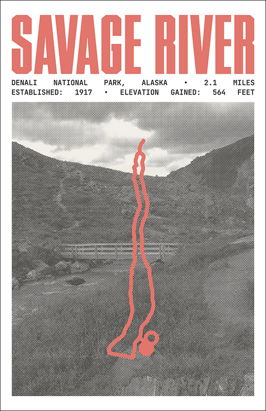 Savage River Loop Poster | Denali National Park Prints