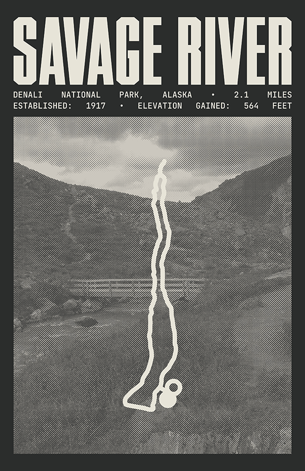 Savage River Loop Poster | Denali National Park Prints