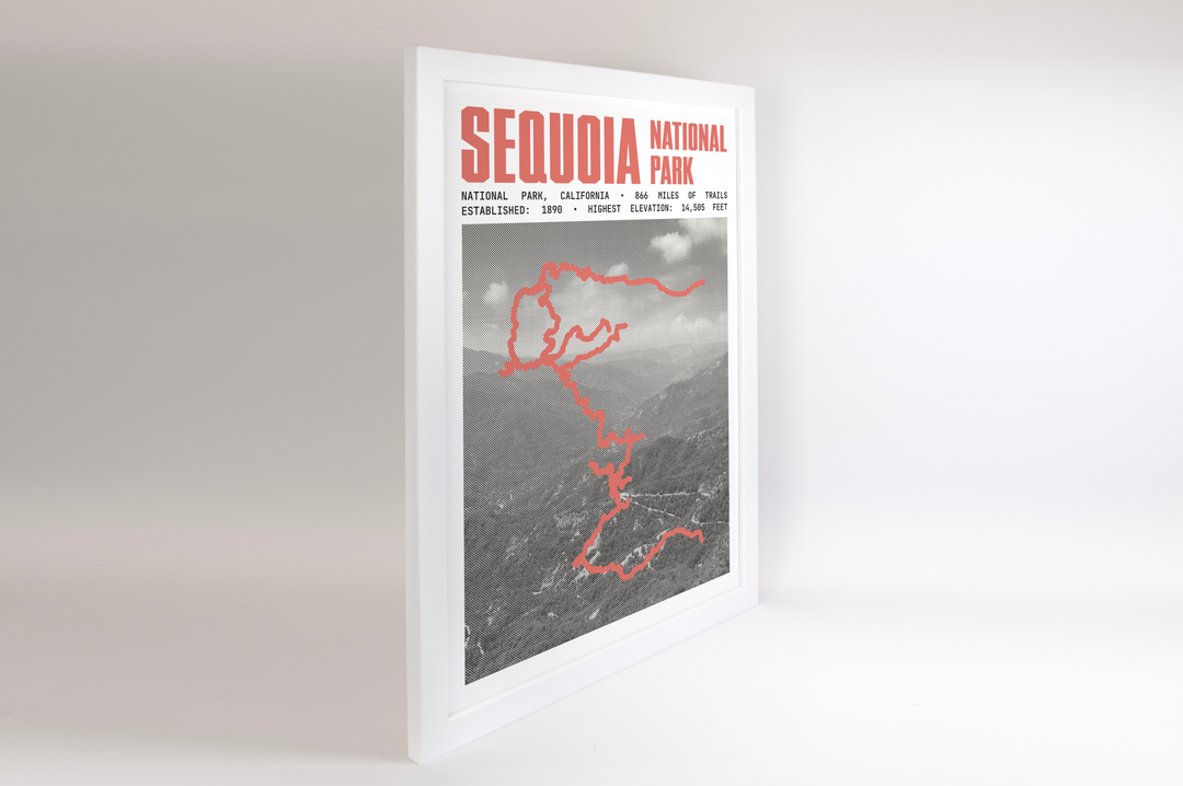 Sequoia National Park Poster