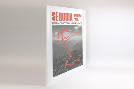Sequoia National Park Poster