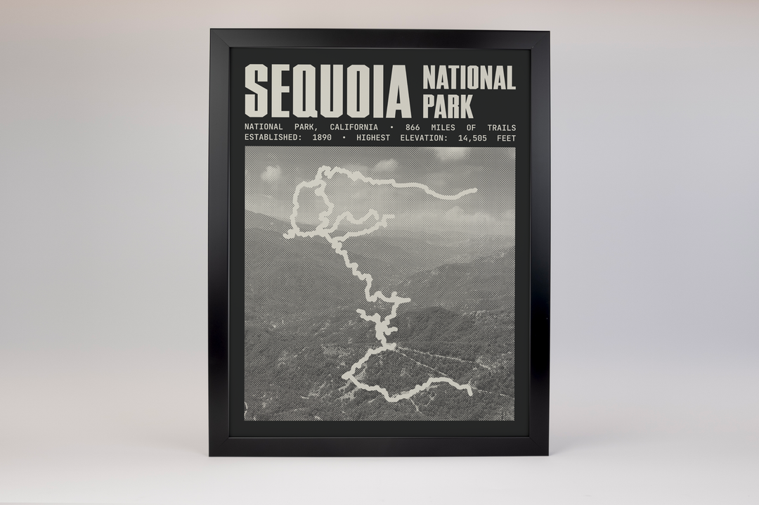 Sequoia National Park Poster