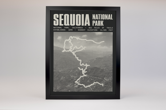 Sequoia National Park Poster