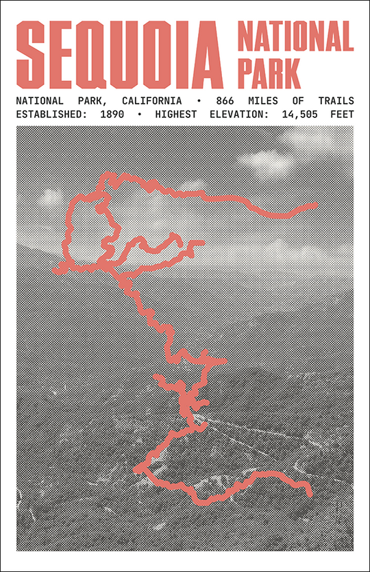 Sequoia National Park Poster