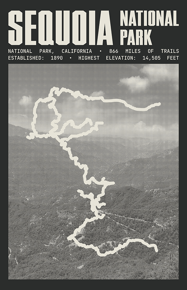 Sequoia National Park Poster