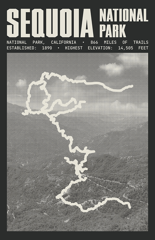 Sequoia National Park Poster