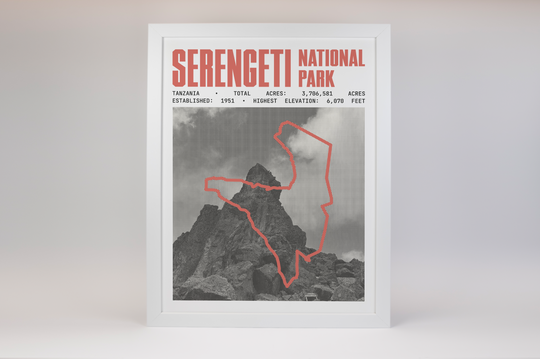 Serengeti National Park Poster