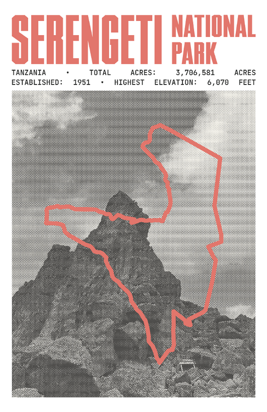 Serengeti National Park Poster