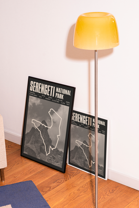 Serengeti National Park Poster