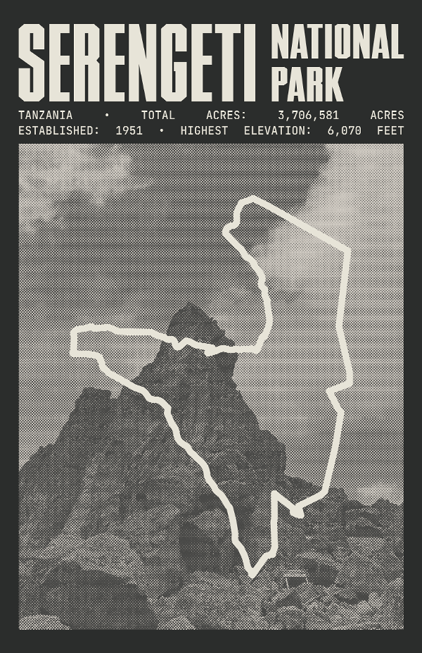 Serengeti National Park Poster