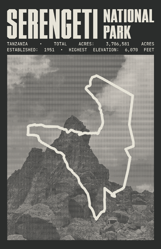 Serengeti National Park Poster