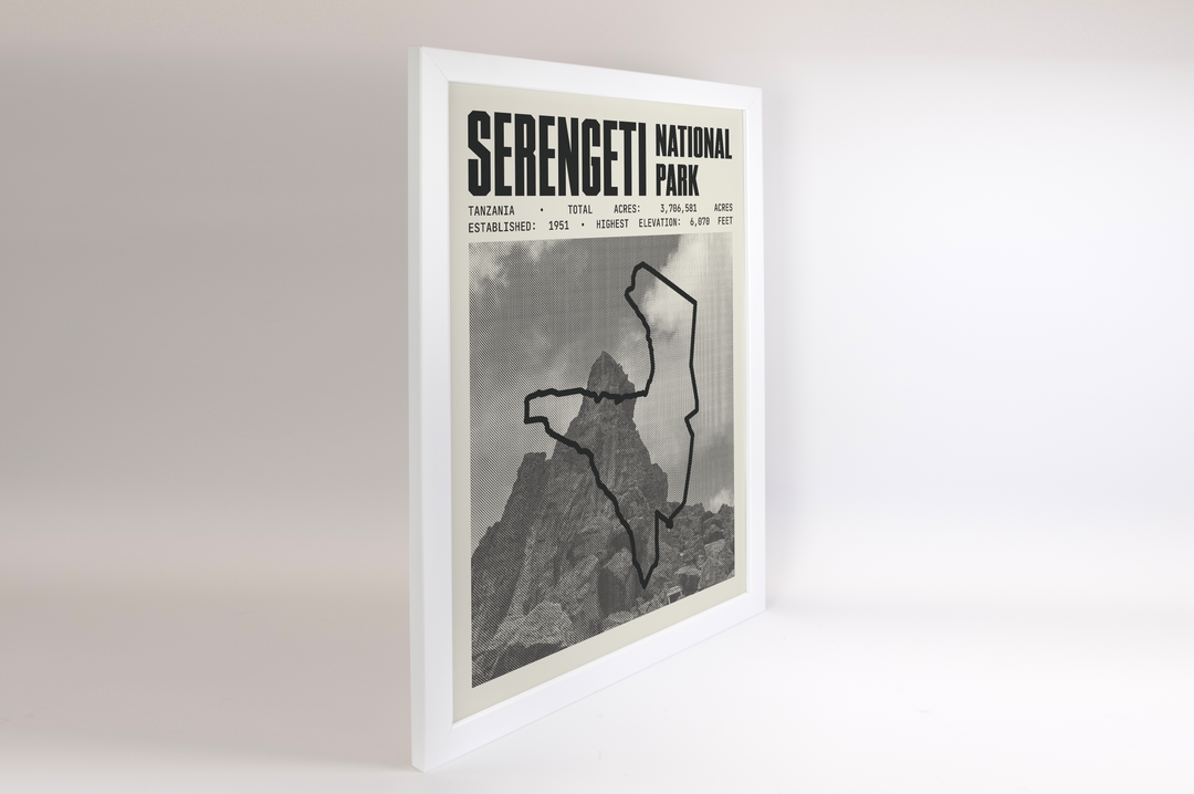Serengeti National Park Poster