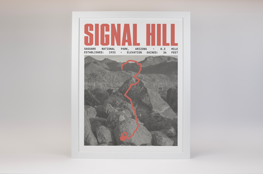 Signal Hill Trail Poster | Saguaro National Park Prints