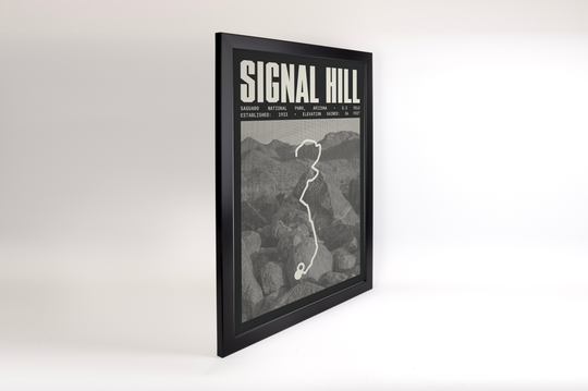 Signal Hill Trail Poster | Saguaro National Park Prints